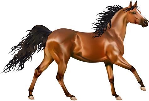 horse clip art|free clip art for horses.